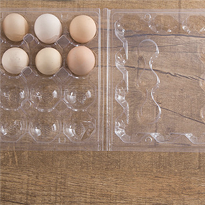 食品吸塑包裝(zhuāng)