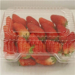 食品吸塑(su)包裝應用(yong)